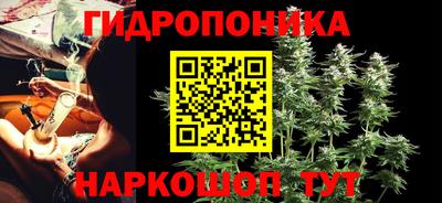 гидропоника Кинель