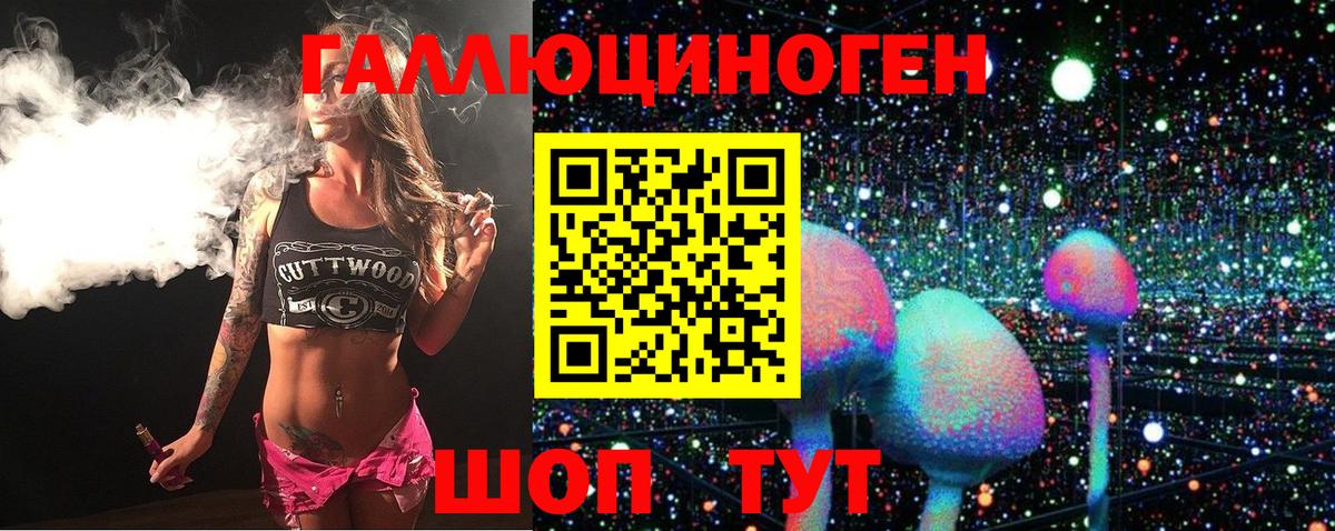 Галлюциногенные грибы Psilocybine cubensis Кизляр